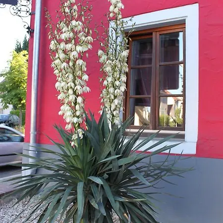 فندق Hochdorfer Hirschen
